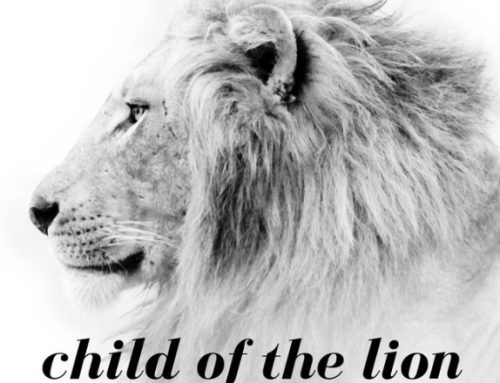 Child of the Lion by Claire Odogbo