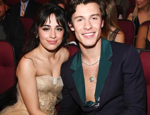 Camila Cabello & Shawn Mendes Spotted Together at Copa América Final